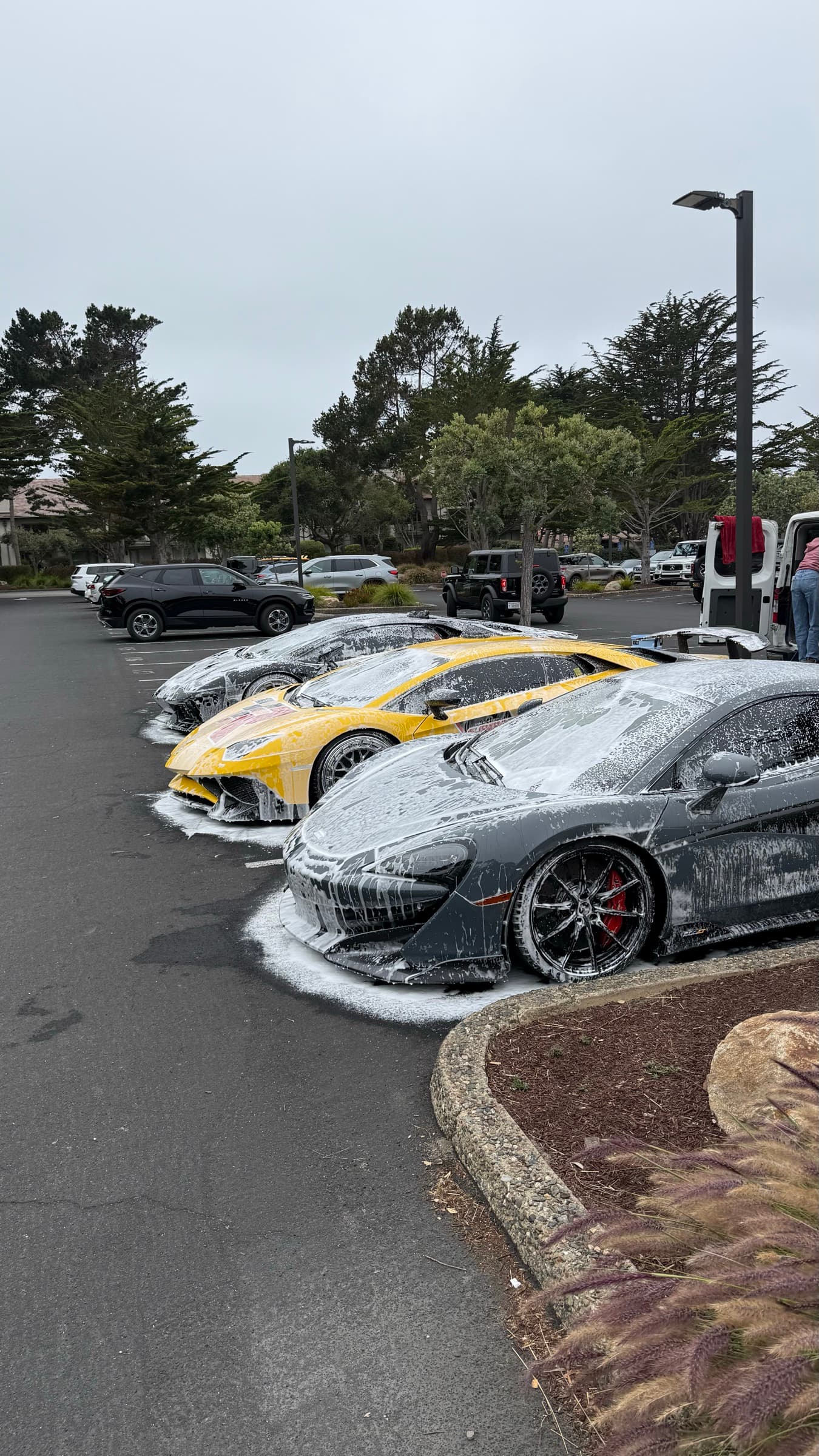 Decontamination